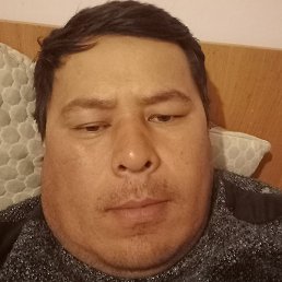 ������, ������, 41 ���