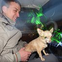 ���� �������, ���������, 33 ���� - ��������� 17 ������ 2025