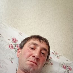 , 37, 