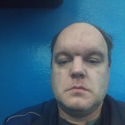 ���� ���������, ������������, 44 ���� - ��������� 14 ������ 2024