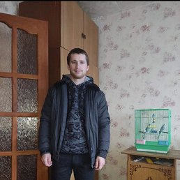, 28, 