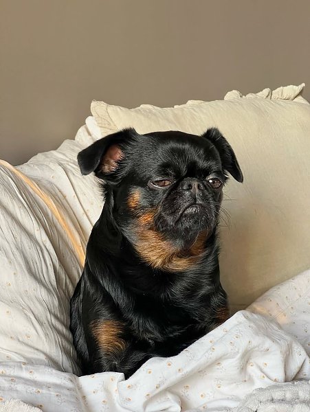 � ������ ���� �� 11:00 - 8