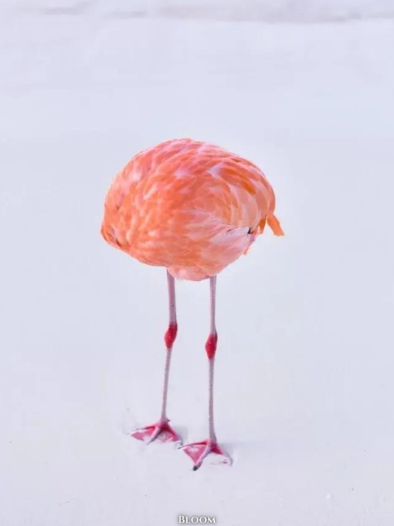 ac opca ce oo o ppo 2025  o acoa oe a  aa ... - 3