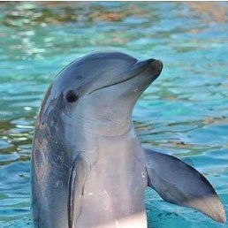 ���� ����, �������, 58 ��� - ��������� 3 �������� 2025