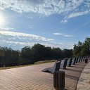  , , 49  -  21  2025   .  ( )