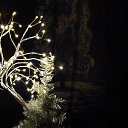 ���� �������, �����, 55 ��� - ��������� 25 ������� 2025 � ������ ������ ��������