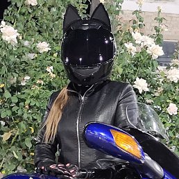 �����, ������, 36 ���
