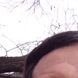 ������, ������-���, 46 ���