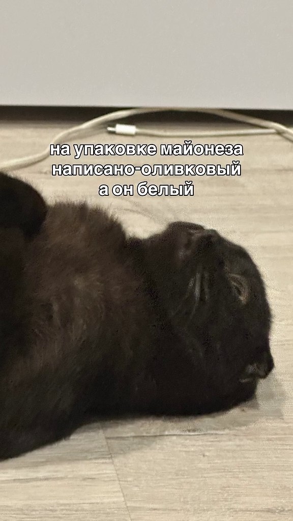 ������ ���� �����) - 2