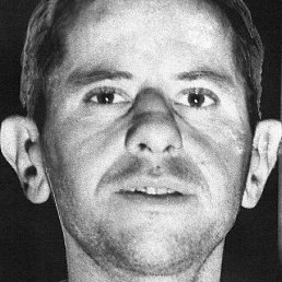 �������, ������, 36 ���