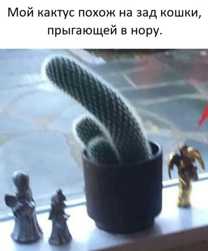 :)