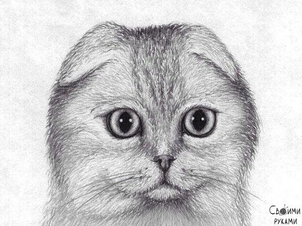 ������ ������ ������� ���������� - 6