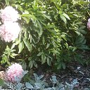 ���� ���������, �����-���������, 59 ��� - ��������� 11 ������ 2026 � ������ ������ ������������