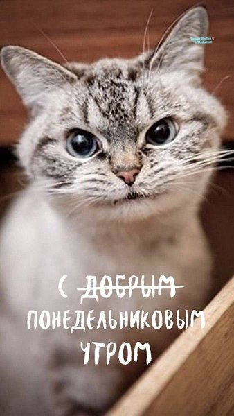 ***Victoria Viktorovna*** - 6 ������� 2025 � 07:48