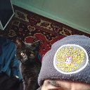 ���� ����, �����������, 51 ��� - ��������� 15 ������ 2023 � ������ ���� ����������