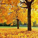 ���� �����, ����� - ��������� 6 ������� 2024 � ������ ���� ����������