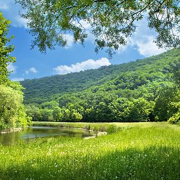 �������, ���������, 61 ���