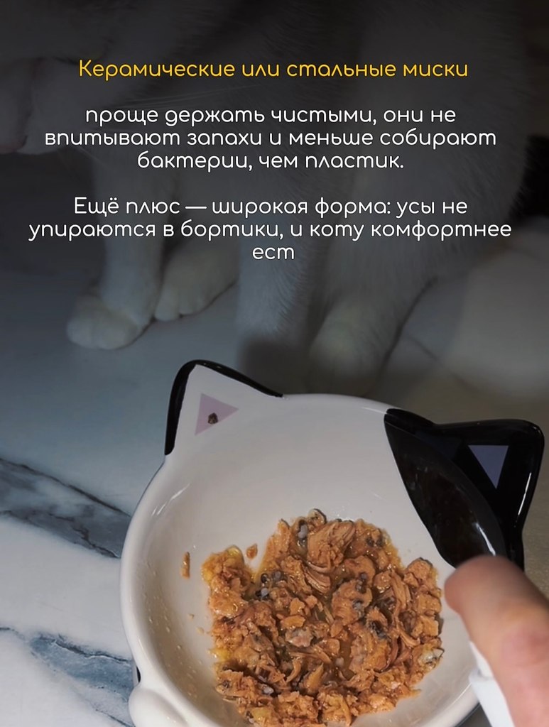 ��� �������� ��� ����-�����������, ��� ������� ��������� ����: ����, ����, ������, ������ � ��� � ... - 3