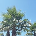 ���� ���������, ������-��-����, 43 ���� - ��������� 30 ���� 2024