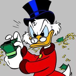 ���� ���, ������, 37 ��� - ��������� 14 ������ 2026