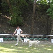 �����, 45 ���, ������-��-����