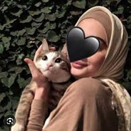 Kumush, �����-���������, 24 ����