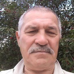 Dim6342, �����������, 77 ���