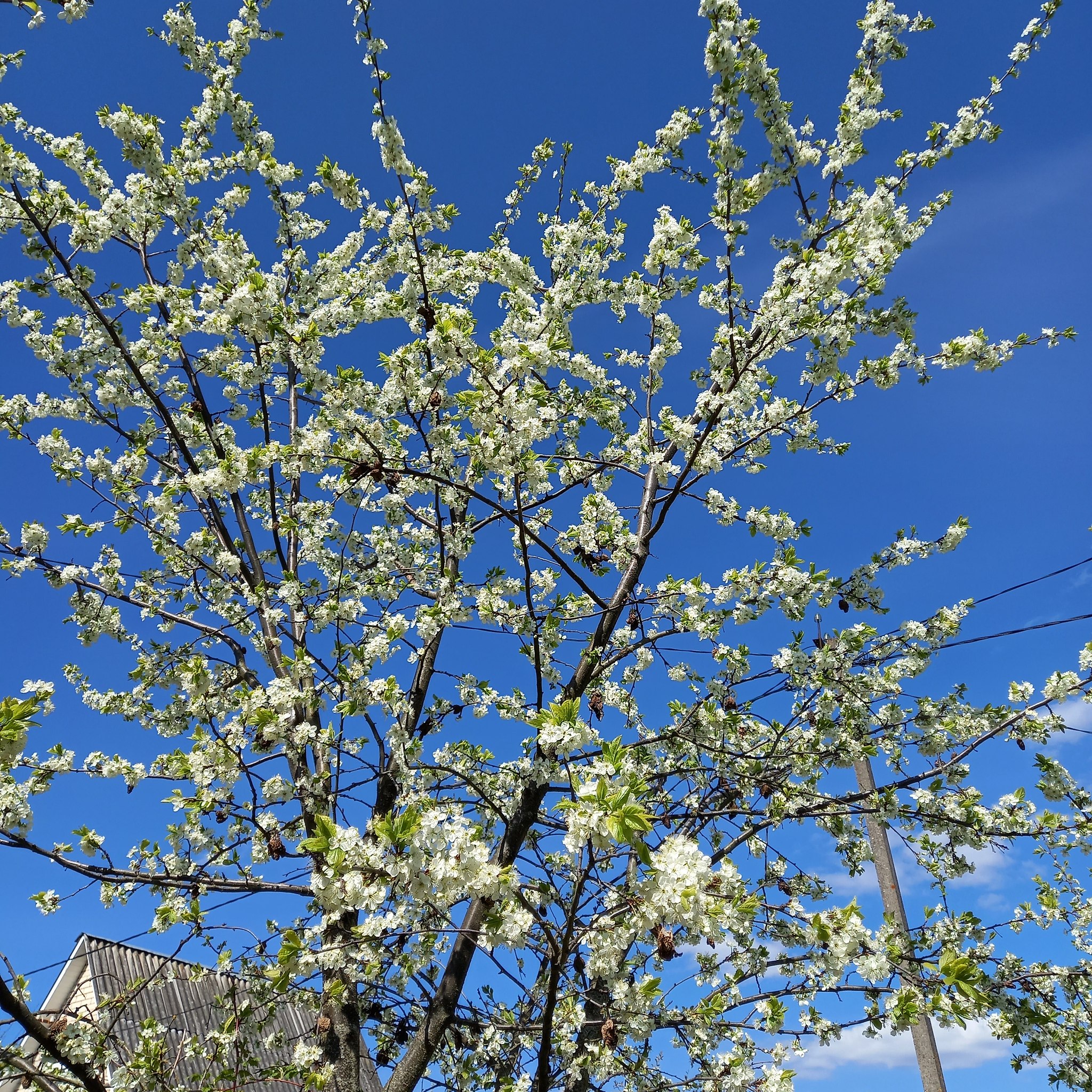  -  ! - 6  2024  11:18