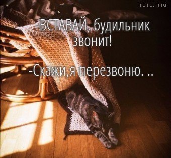 ОБО ВСЕМ - 24 октября 2025 в 14:37
