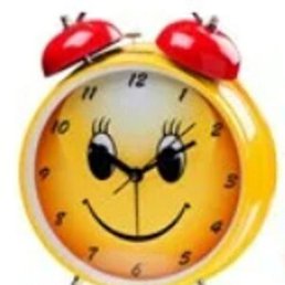 ����, ������, 49 ���