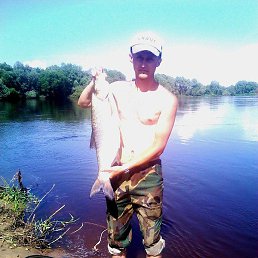 ����� ��������, �������, 39 ���