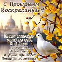 ���� ����� ��������, ��������� - ��������� 22 ������� 2026 � ������ ������ ��������