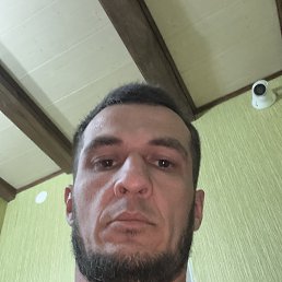 ����, 33 ����, ���������