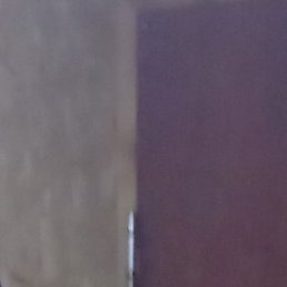 �������, ����, 42 ����