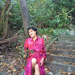 �����, ����, 56 ���