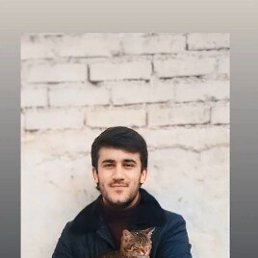 , 22, 