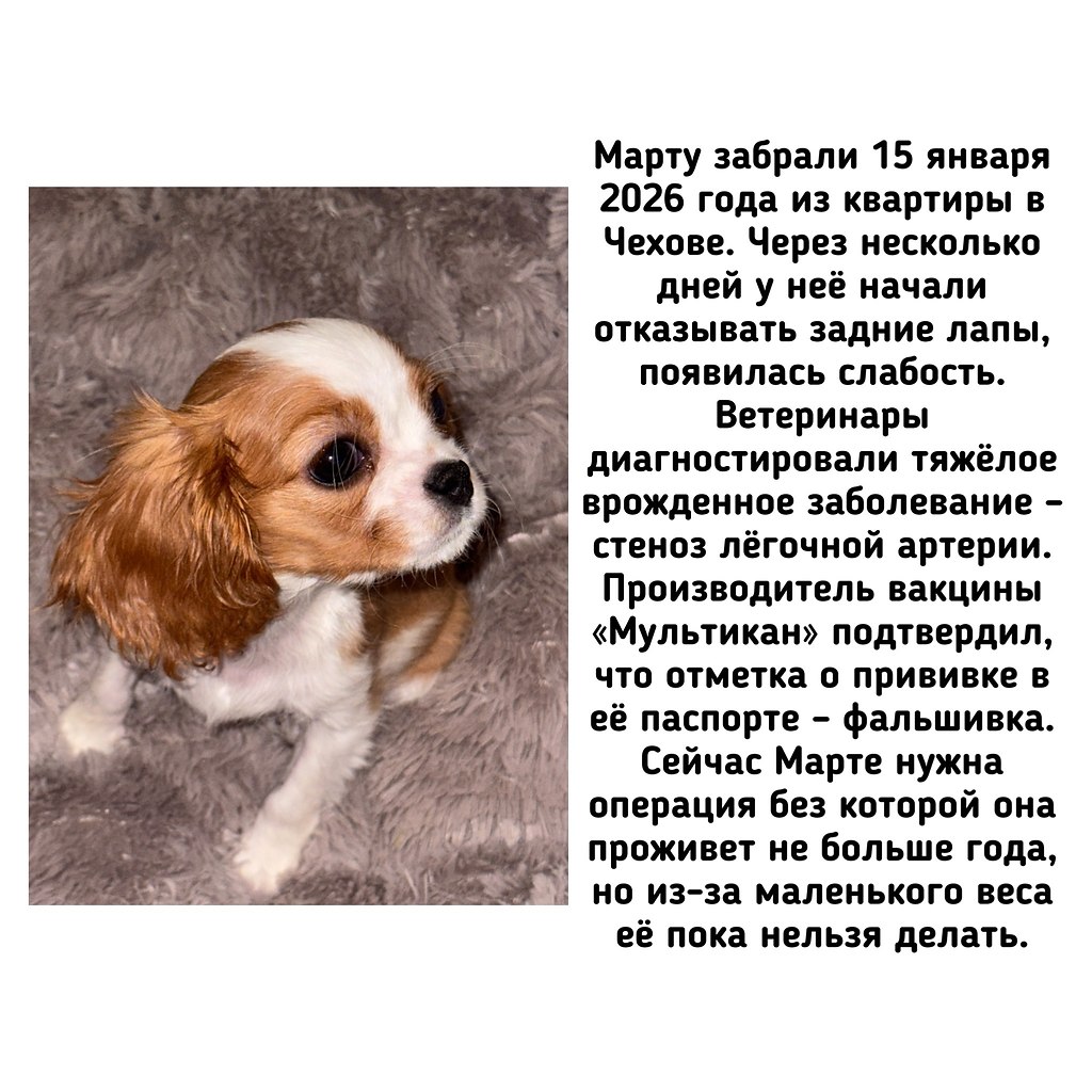 �� - ������������ ������ ������������ �� �������� ��������� (��������) �� ������ ����� (���������� ... - 6