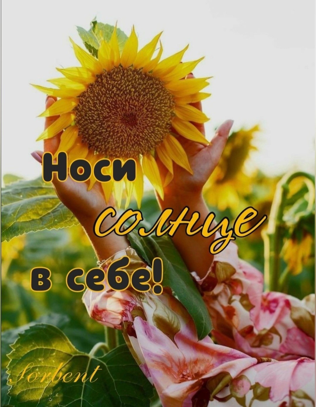 *T* - 3  2024  19:20