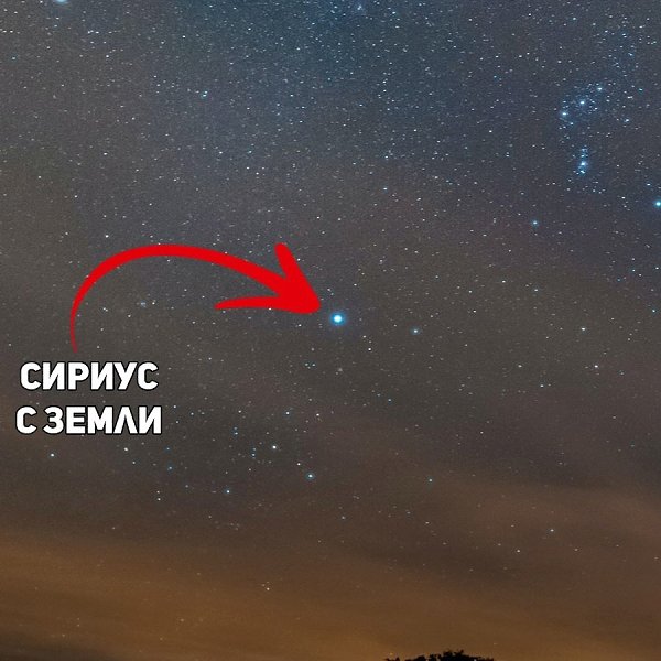 Самая яркая звезда! Сириус в созвездии Большого Пса ярко сияет в небе и приковывает внимание по ...
