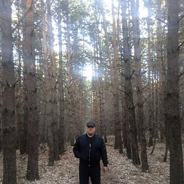 ���������, ������, 50 ���