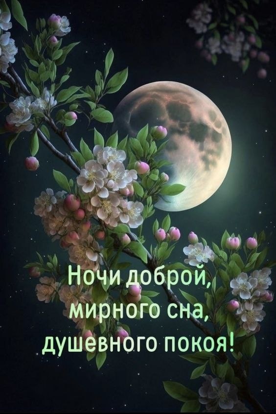   ,    . - 29  2025  21:32