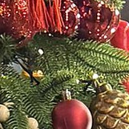 ����, ���������, 52 ����