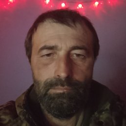 ������� ����, ���������, 43 ����