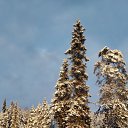 ���� �����, ������, 51 ��� - ��������� 12 ������ 2024 � ������ ��������. ������� 23.�