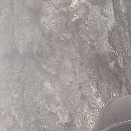 �������, ������ ��������