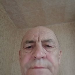 , 61 , 