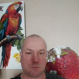 �������, 41 ���, �����