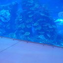 ����� ���