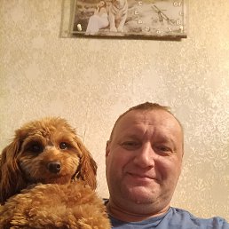 , 45, 