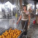 ���� ������, ������ - ��������� 12 ������� 2026 � ������ �������